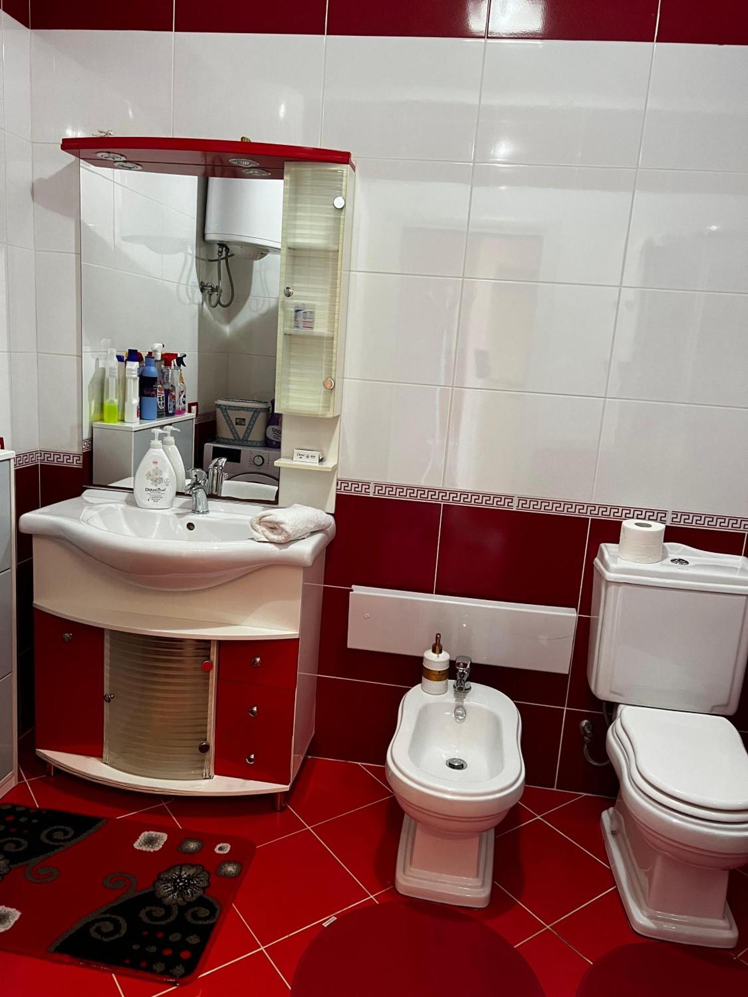Amy'S Luxury Appartment Szkodra Zewnętrze zdjęcie